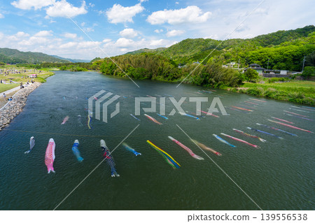 Saba River, Hofu City, Yamaguchi Prefecture: Carp streamers swimming in the water and the Saba River Koinagashi festival. 139556538