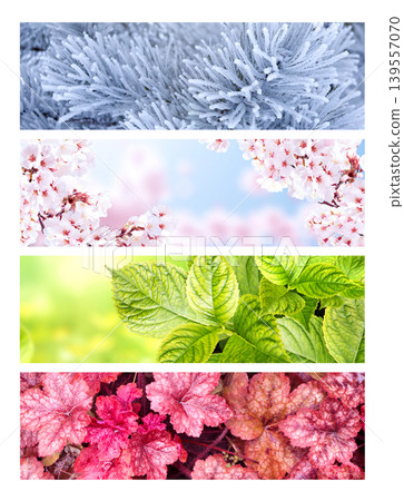 Four season of year. Set of horizontal nature banners. Each one features scene of nature, from the gentle snowfall of winter to the vibrant leaves of summer. Perfect for showcasing changing seasons Four season of year. Set of horizontal nature banners. Each one features scene of nature, from the gentle snowfall of winter to the vibrant leaves of summer. Perfect for showcasing changing seasons 139557070