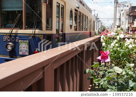 A streetcar and roses stopped at the boarding platform of Minowabashi Station on the Toden Arakawa Line. A streetcar and roses stopped at the boarding platform of Minowabashi Station on the Toden Arakawa Line. 139557210