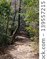The way to the mountain 139557215