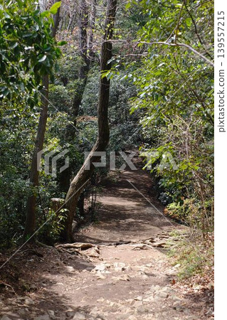 去山的路 去山的路 139557215