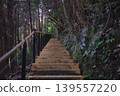 Long staircase in the forest 139557220