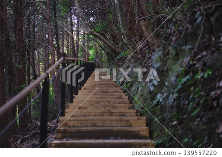 Long staircase in the forest Long staircase in the forest 139557220