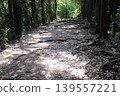 Walking in the mountains 139557221