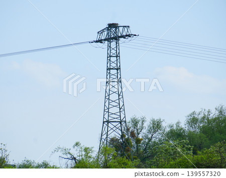 Metal power line tower with a bird nest on top. Metal power line tower with a bird nest on top. 139557320