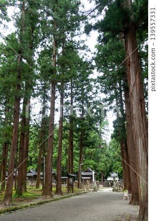 The towering cedar trees and historic mausoleum at the Uesugi family mausoleum (Yonezawa City, Yamagata Prefecture) The towering cedar trees and historic mausoleum at the Uesugi family mausoleum (Yonezawa City, Yamagata Prefecture) 139557331