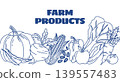 Minimalist blue line art illustration of farm products including pumpkin, corn, apple, and carrot. Vintage style banner for organic market, local farming, and healthy food packaging design. 139557483