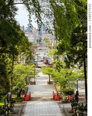 宮城縣仙台市仙台東照宮的參道及週邊街景 宮城縣仙台市仙台東照宮的參道及週邊街景 139557555