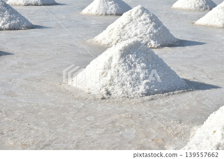 saline water making dry salt by solar evaporation Thai cultures and agriculture manufacturing in farm on sunny day 139557662