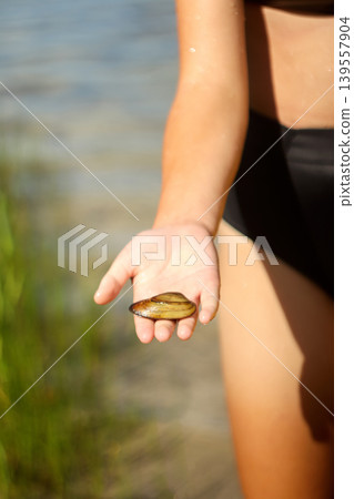 Close-up of a person holding a small river mussel shell in an open palm. Summer lake shore background with soft sunlight and water Close-up of a person holding a small river mussel shell in an open palm. Summer lake shore background with soft sunlight and water 139557904