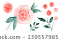 Set of watercolor hand painting textured pink rose or peony flowers and green leaves. Tender watercolour floral blossoms and grass elements for pattern design, wedding greeting card decor, logo 139557985