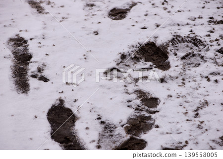 Multiple Footprints Scattered Across Snowy Ground Multiple Footprints Scattered Across Snowy Ground 139558005