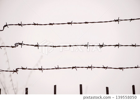Parallel Barbed Wire Lines In Minimal Composition Parallel Barbed Wire Lines In Minimal Composition 139558050