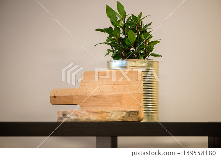 Wooden cutting board and green plant composition on shelf Wooden cutting board and green plant composition on shelf 139558180