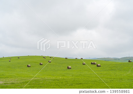 Hay bales lined up on gently rolling hills: a Hokkaido pasture (early summer, June). 139558981