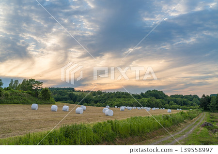 夕陽西下,雲朵映襯著牧場上堆放的乾草垛-北海道的黃金時刻(初夏,六月)。 夕陽西下,雲朵映襯著牧場上堆放的乾草垛-北海道的黃金時刻(初夏,六月)。 139558997