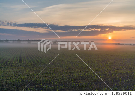A rural landscape of Hokkaido bathed in the colors of the sunset, the golden hour (early summer, June) A rural landscape of Hokkaido bathed in the colors of the sunset, the golden hour (early summer, June) 139559011