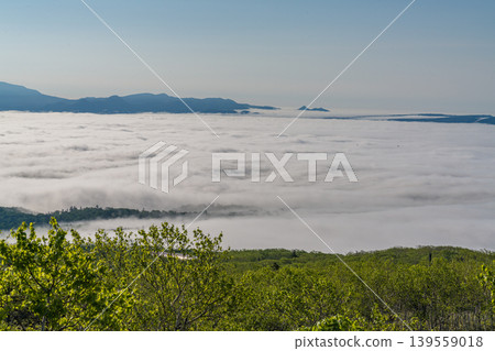 A fantastical scene of the morning sun shining through a sea of clouds, in the summer mountains of Hokkaido (early summer, June). A fantastical scene of the morning sun shining through a sea of clouds, in the summer mountains of Hokkaido (early summer, June). 139559018
