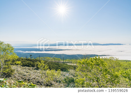 日出的光芒穿透雲海：北海道山頂上神秘的清晨（初夏，六月）。 139559026