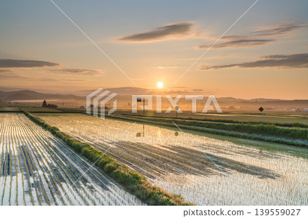 A vast sea of clouds viewed from the mountaintop: a summer morning scene in Hokkaido (early summer, June). A vast sea of clouds viewed from the mountaintop: a summer morning scene in Hokkaido (early summer, June). 139559027