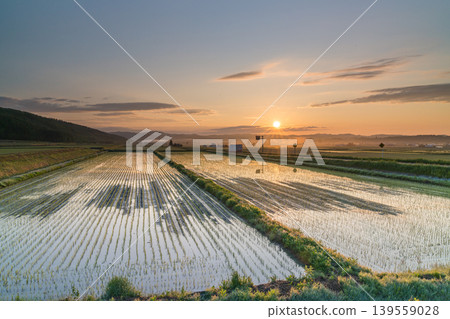 山脊漂浮在雲海之上:北海道夏季壯麗的山景(初夏,六月)。 山脊漂浮在雲海之上:北海道夏季壯麗的山景(初夏,六月)。 139559028