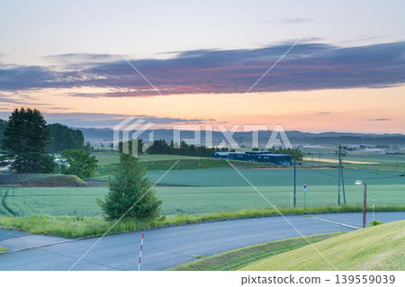 黎明時分，天空和稻田呈現淡藍色：北海道寧靜的清晨景象（初夏，六月）。 139559039