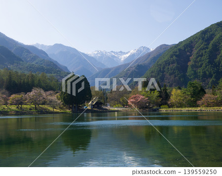 April 2026, Komagane City, Komagaike Pond and the Central Alps 139559250