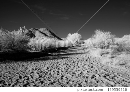 Arizona Desert Arroyo Arizona Desert Arroyo 139559316