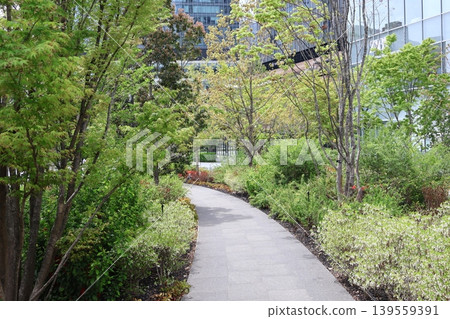 摩天大樓林立的城市景觀，綠樹成蔭、花草繁茂的公園，以及蜿蜒的小徑。 139559391