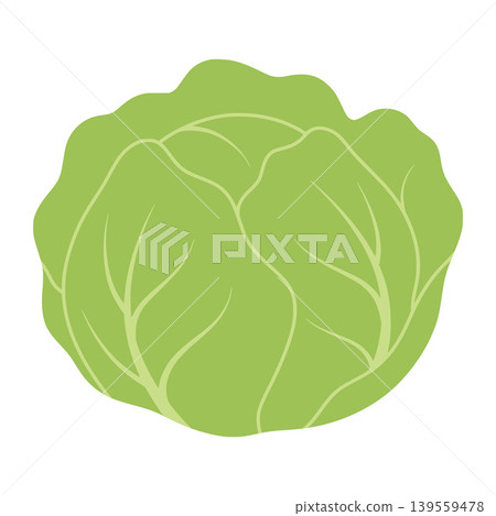 Fresh green iceberg lettuce healthy food ingredient Fresh green iceberg lettuce healthy food ingredient 139559478