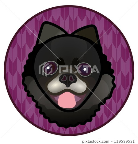 Illustration of a Pomeranian's face against a circular background 139559551