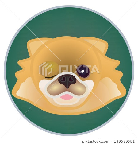 Illustration of a Pomeranian's face against a circular background Illustration of a Pomeranian's face against a circular background 139559591