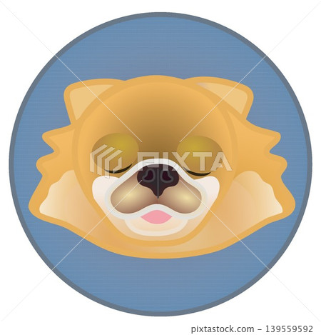 圓形背景上的博美犬臉部插圖 139559592