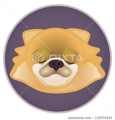 圓形背景上的博美犬臉部插圖 139559593