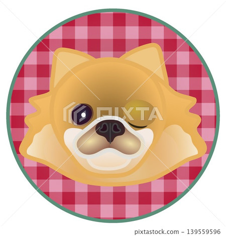 圓形背景上的博美犬臉部插圖 139559596