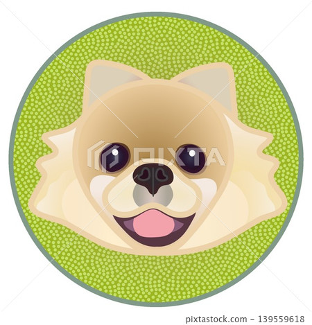 Illustration of a Pomeranian's face against a circular background Illustration of a Pomeranian's face against a circular background 139559618