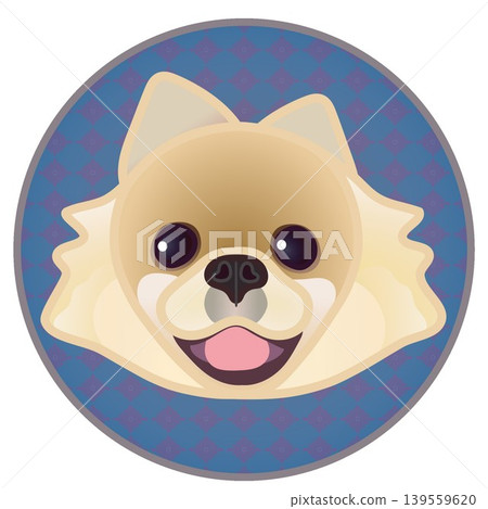 Illustration of a Pomeranian's face against a circular background Illustration of a Pomeranian's face against a circular background 139559620