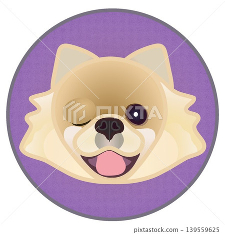 Illustration of a Pomeranian's face against a circular background Illustration of a Pomeranian's face against a circular background 139559625