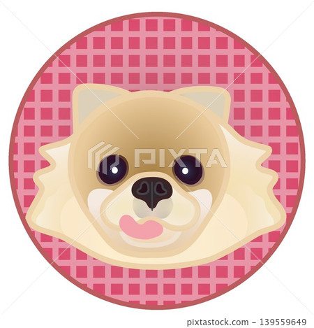 圓形背景上的博美犬臉部插圖 圓形背景上的博美犬臉部插圖 139559649