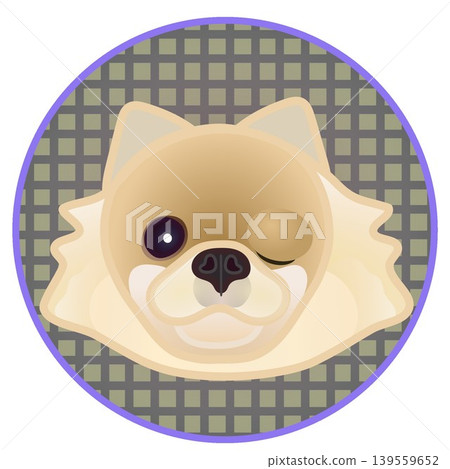 Illustration of a Pomeranian's face against a circular background Illustration of a Pomeranian's face against a circular background 139559652