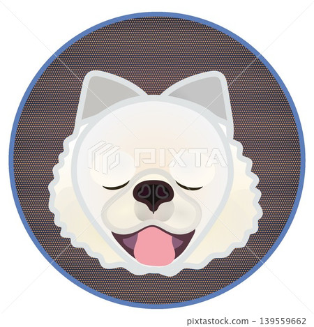 圓形背景上的博美犬臉部插圖 139559662