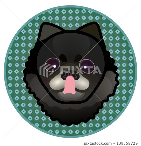 Illustration of a Pomeranian's face against a circular background 139559729