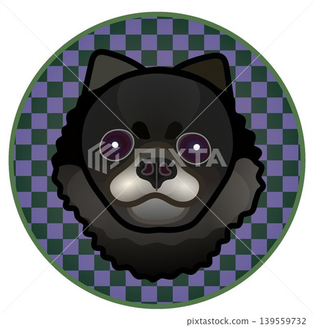 圓形背景上的博美犬臉部插圖 圓形背景上的博美犬臉部插圖 139559732