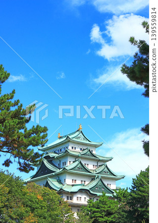 View of Nagoya Castle, Nagoya City, Aichi Prefecture View of Nagoya Castle, Nagoya City, Aichi Prefecture 139559814