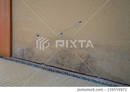 The earthen walls of the Japanese-style room are moldy and have holes and gaps. 139559972