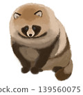 A hand-drawn illustration of a fluffy raccoon sitting down. 139560075