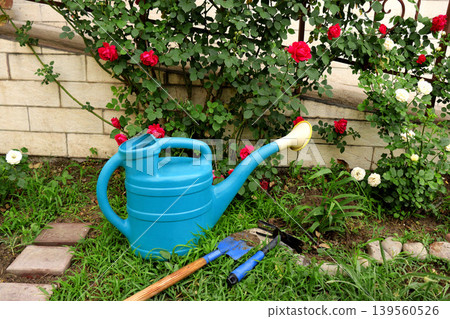 watering can with garden tools on the yard watering can with garden tools on the yard 139560526