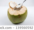 Fresh young coconut being opened with a spoon thai coconut water white background food preparation coconut tree raw food tropical refreshing scooping close up delicious hydration 139560592