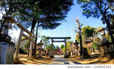 The torii gate and worship hall of Shinagawa Shrine The torii gate and worship hall of Shinagawa Shrine 139561102