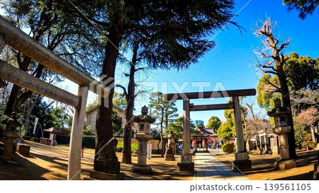 The torii gate and worship hall of Shinagawa Shrine The torii gate and worship hall of Shinagawa Shrine 139561105